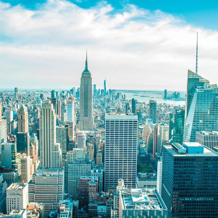 Family routine and school logistics in Springfield