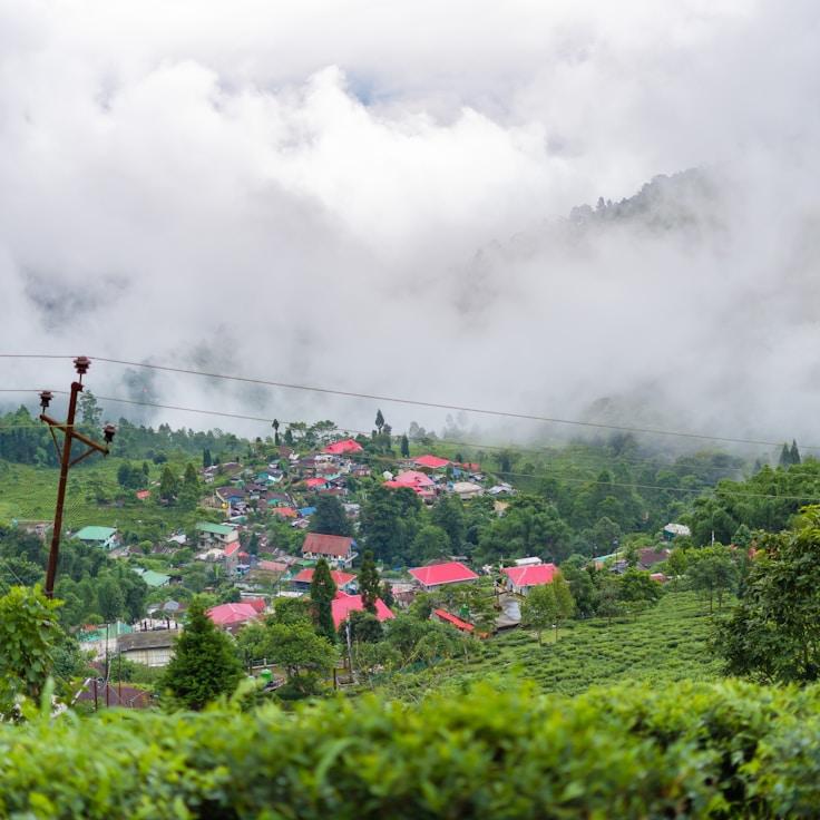 Entertainment zone at night in United States